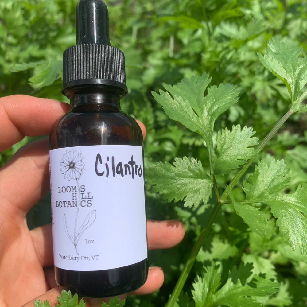 A bottle of Loomis Hill Botanicals cilantro elixir.