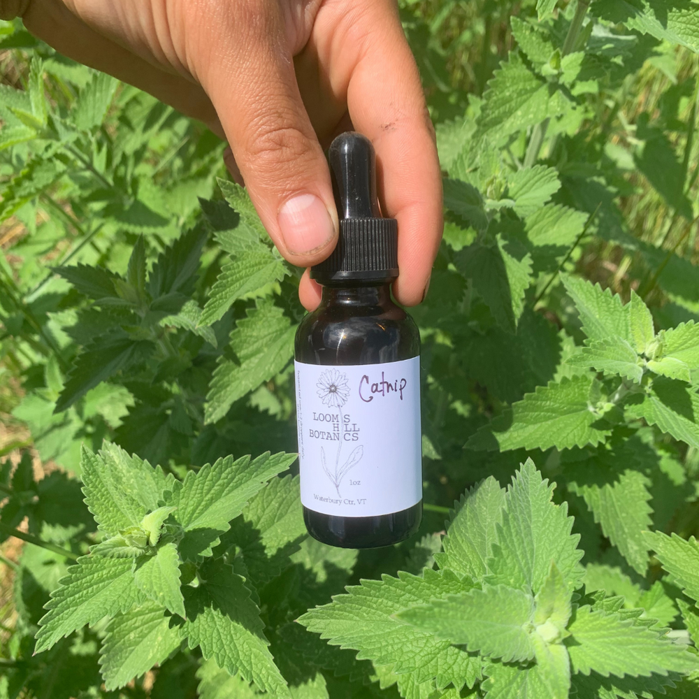 A bottle of Loomis Hill Botanicals catnip elixir.