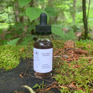 
                  
                    A bottle of Loomis Hill Botanicals ghostpipe tincture.
                  
                