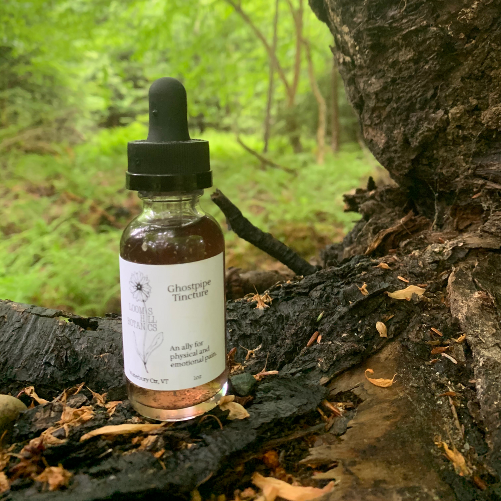A bottle of Loomis Hill Botanicals ghostpipe tincture.