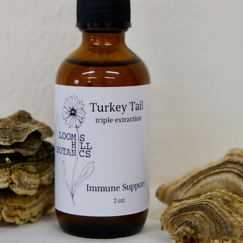 Turkey Tail Elixir
