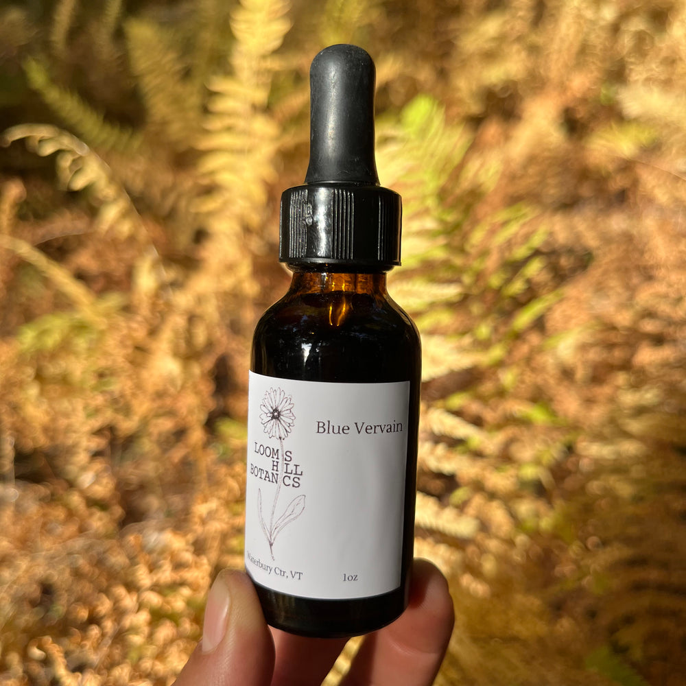 A bottle of Loomis Hill Botanicals blue vervain tincture.