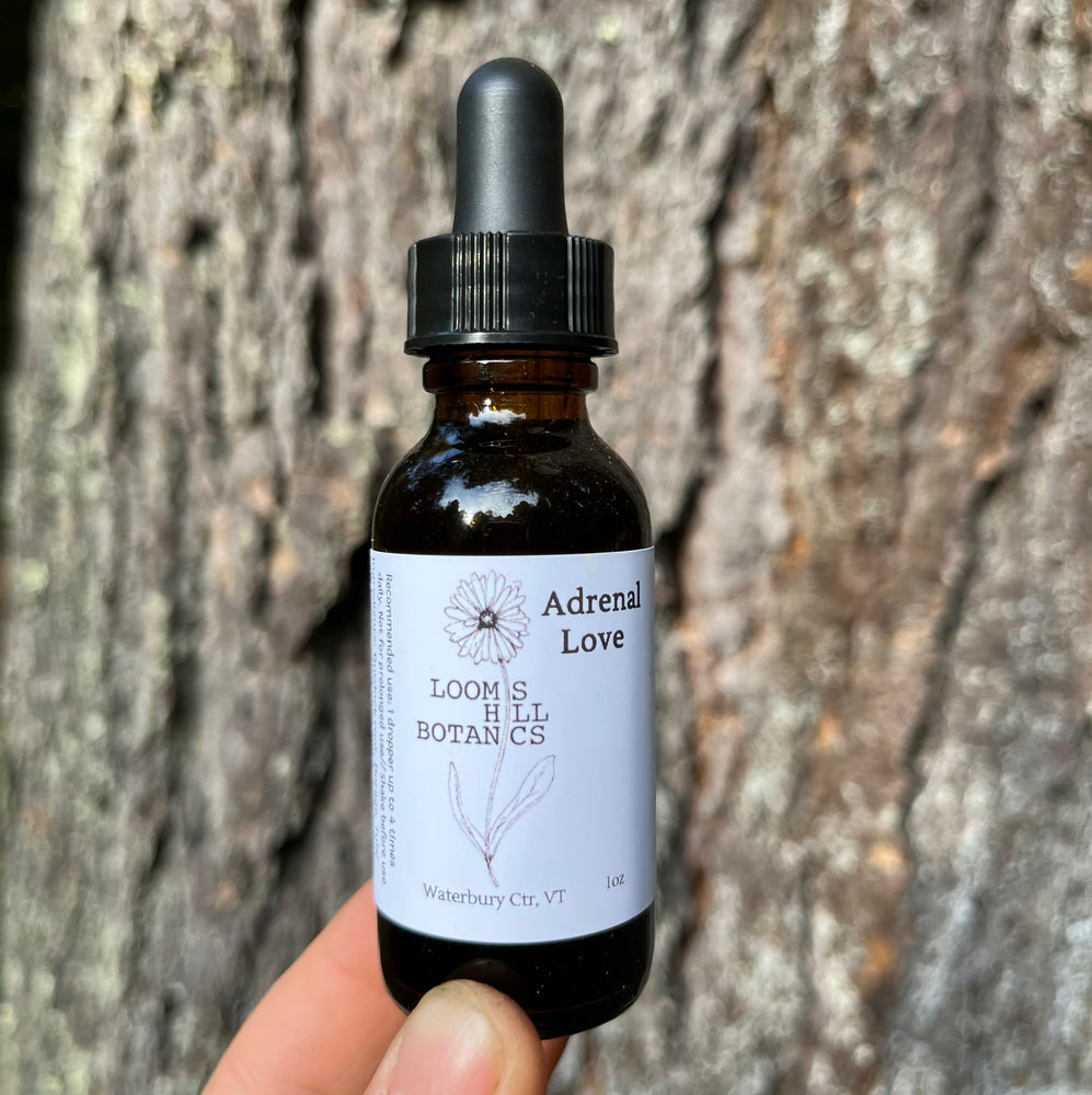 
                  
                    A bottle of Loomis Hill Botanicals Adrenal Love tincture.
                  
                