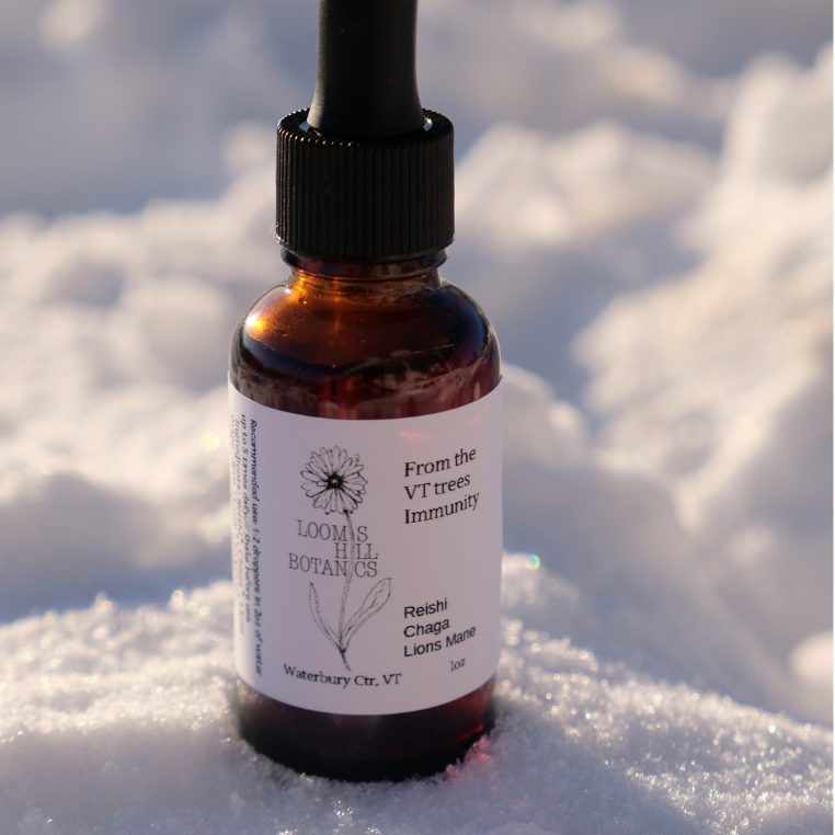 A bottle of Loomis Hill Botanicals From the VT Trees Immunity tincture.