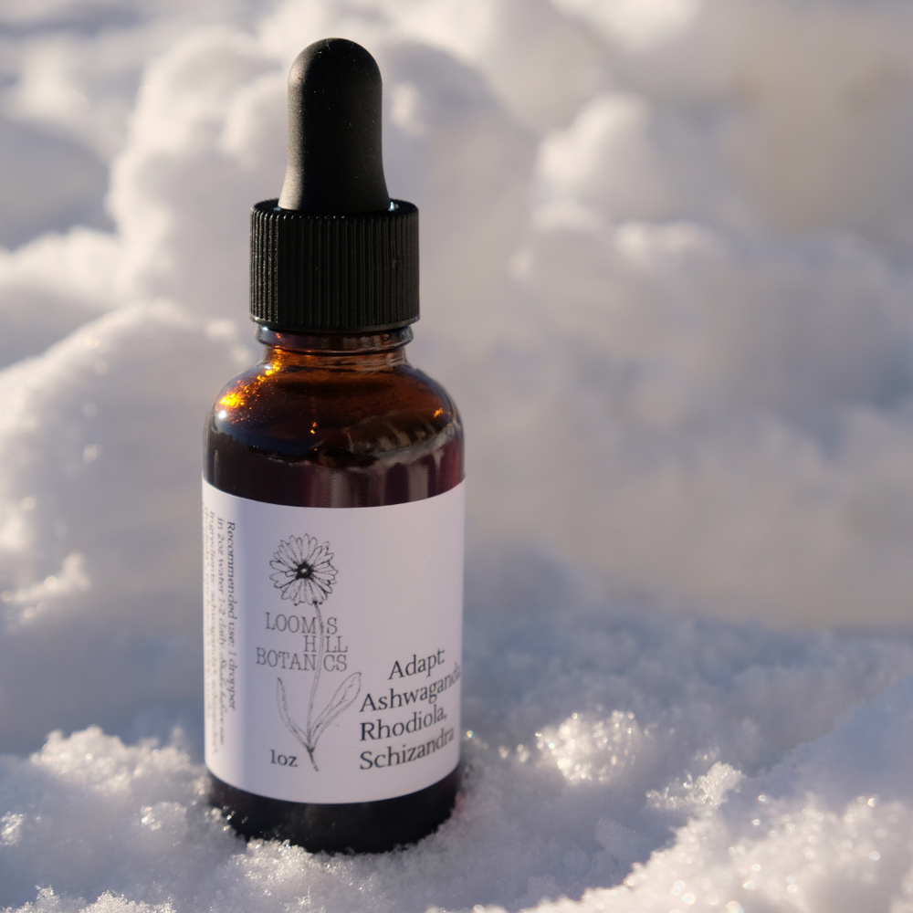 A bottle of Loomis Hill Botanicals Adapt tincture.